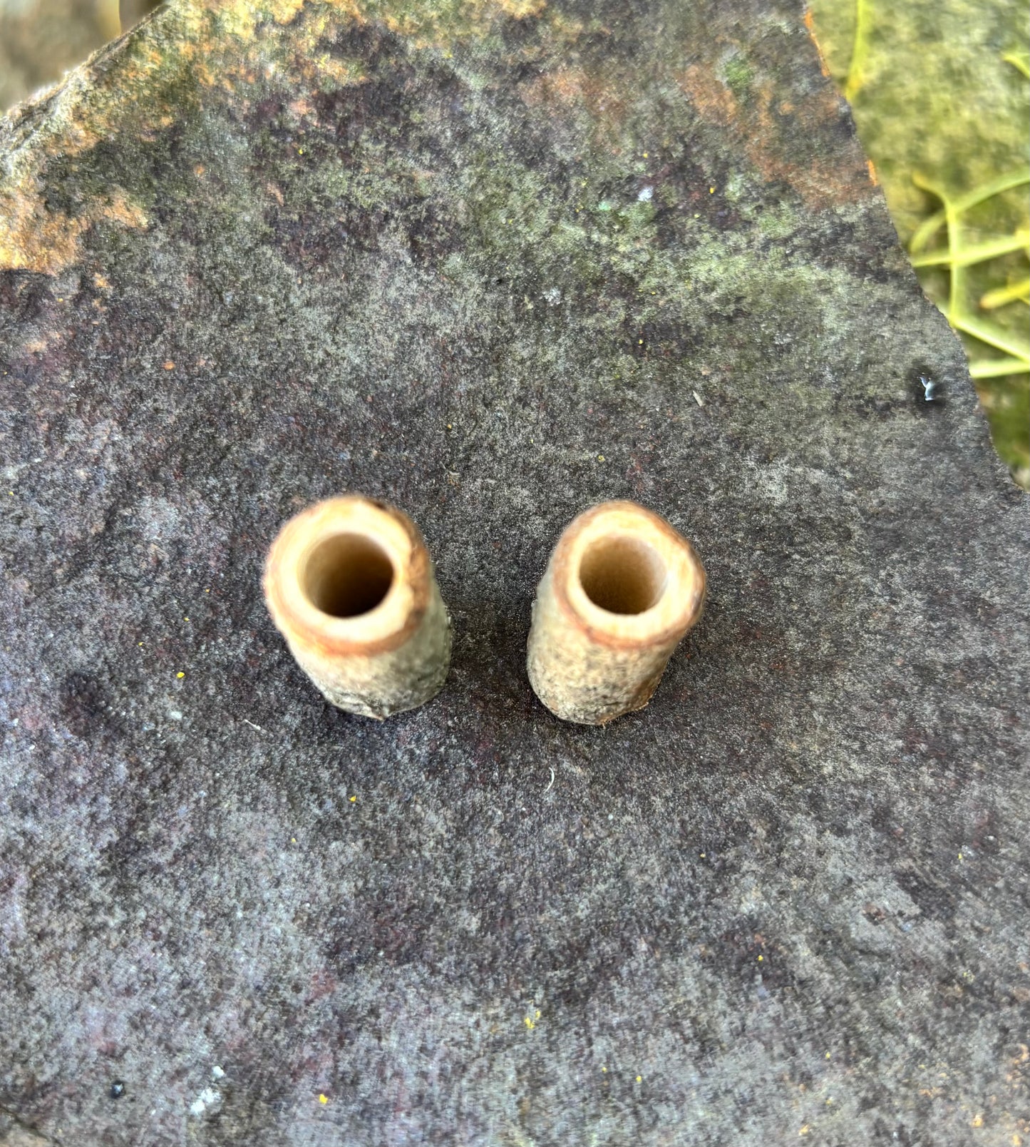 Set of two Wooden Beads